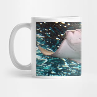 Smiling Stingray Mug